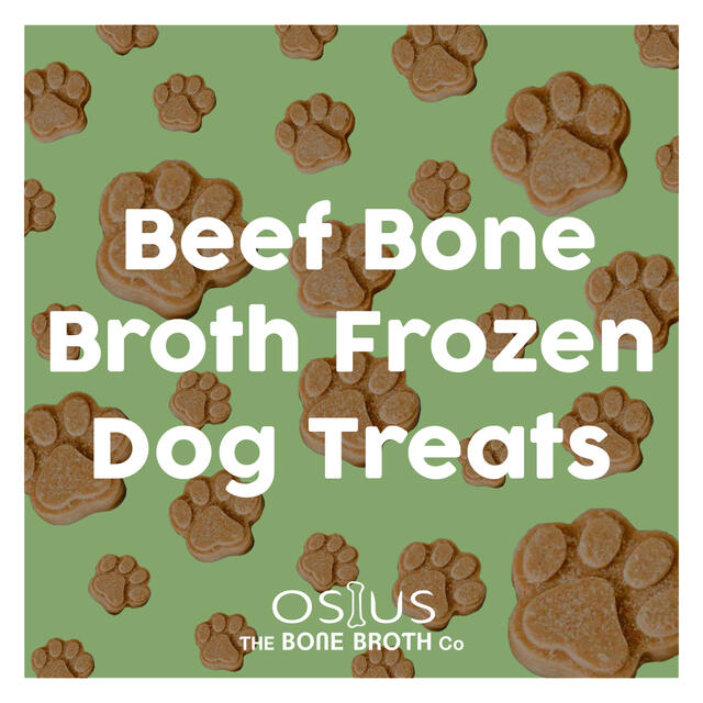 Frozen bone broth on sale for dogs