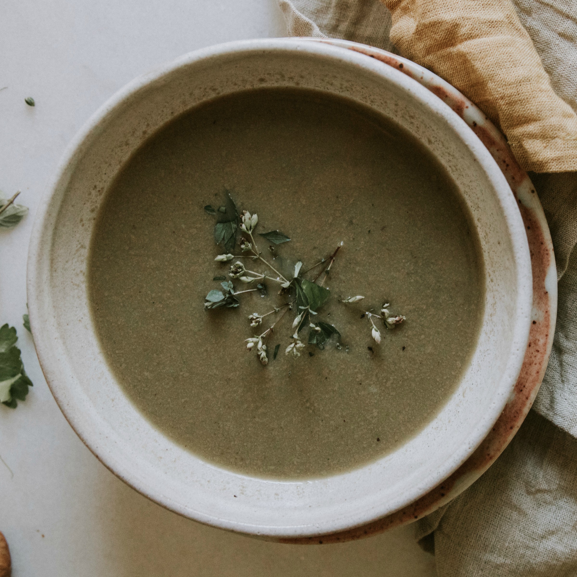Wild Mushroom Soup Osius Bone Broth